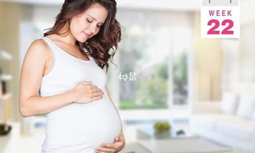 孕妇奶粉品牌推荐-孕妇奶粉测评网孕妇奶粉最建议买的三个品牌知识网站,分享孕妇奶粉最建议买的三个品牌大全