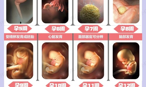 孕妇奶粉哪个品牌比较好-孕妇奶粉测评网孕妇奶粉最建议买的三个品牌知识网站,分享孕妇奶粉最建议买的三个品牌大全